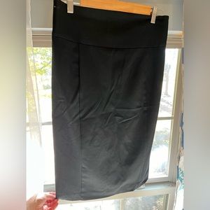 Express Pencil Skirt